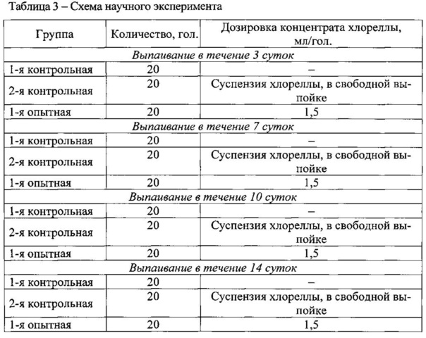 Схема выпойки молодняка птицы