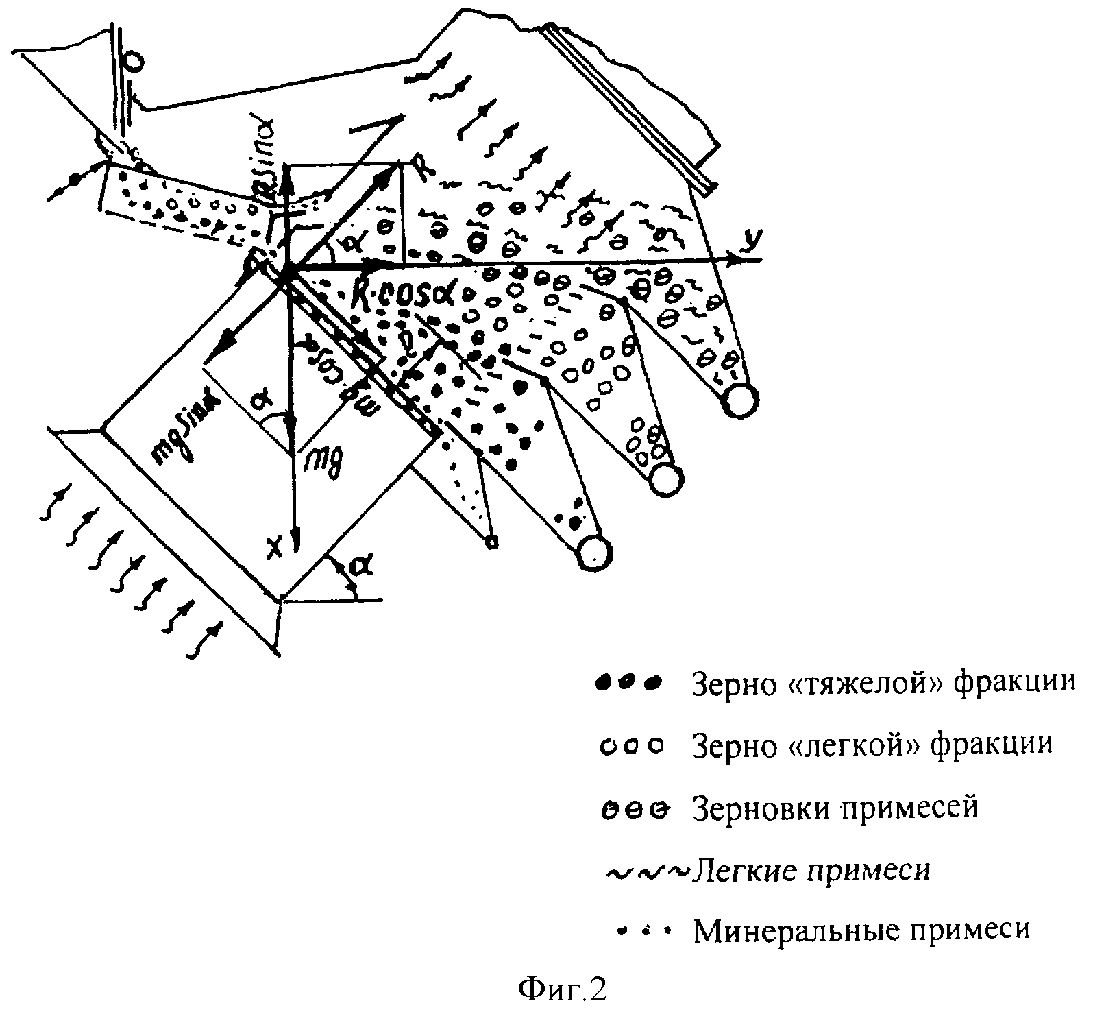 ПНЕВМАТИЧЕСКИЙ СЕПАРАТОР ДЛЯ ФРАКЦИОННОГО РАЗДЕЛЕНИЯ И ОЧИСТКИ ЗЕРНА.  Патент № RU 2362634 МПК A01F12/44 | Биржа патентов - Московский  инновационный кластер