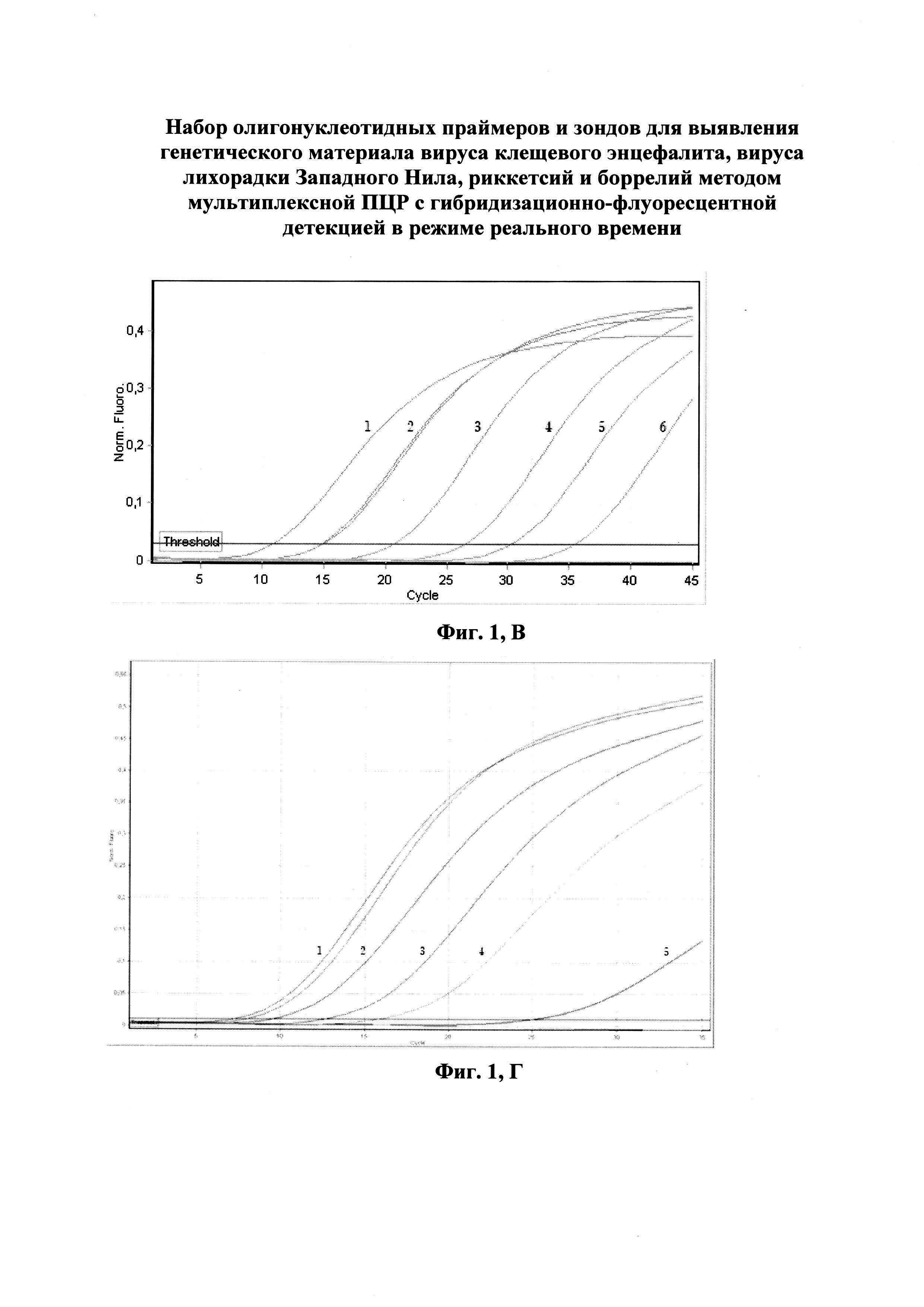 Набор олигонуклеотидных праймеров и зондов для идентификации вируса ...