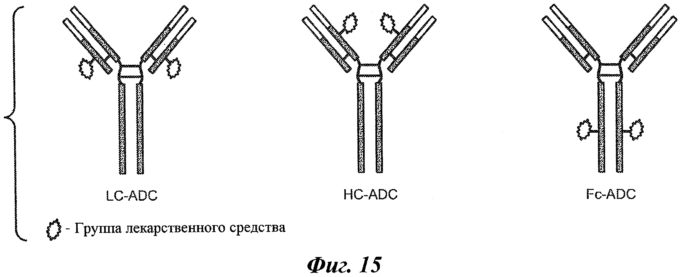 АНТИТЕЛА И ИММУНОКОНЪЮГАТЫ И ИХ ПРИМЕНЕНИЯ. Патент № RU 2436796 МПК  A61K39/295 | Биржа патентов - Московский инновационный кластер