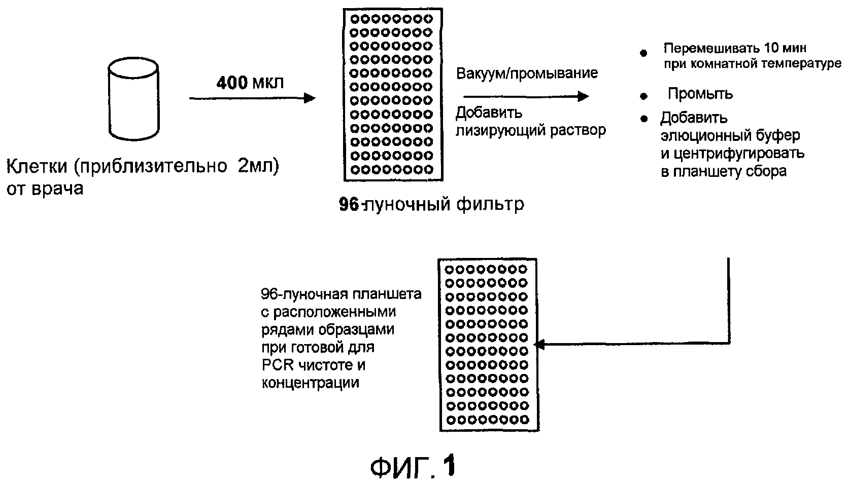 КОМПОЗИЦИИ И СПОСОБЫ ВЫЯВЛЕНИЯ. Патент № RU 2480732 МПК G01N15/00 | Биржа  патентов - Московский инновационный кластер