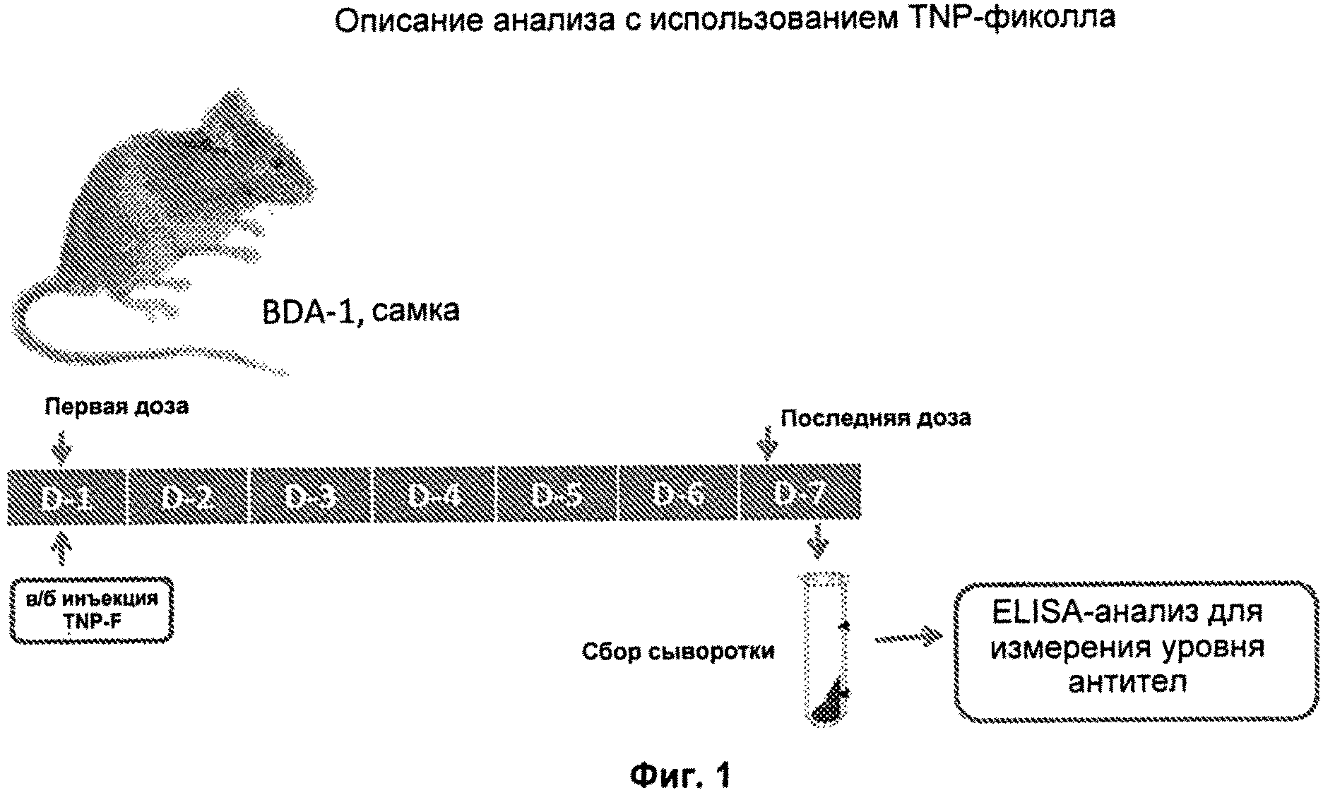 НЕКОТОРЫЕ ХИМИЧЕСКИЕ СТРУКТУРЫ, КОМПОЗИЦИИ И СПОСОБЫ. Патент № RU 2537549  МПК C07D487/04 | Биржа патентов - Московский инновационный кластер