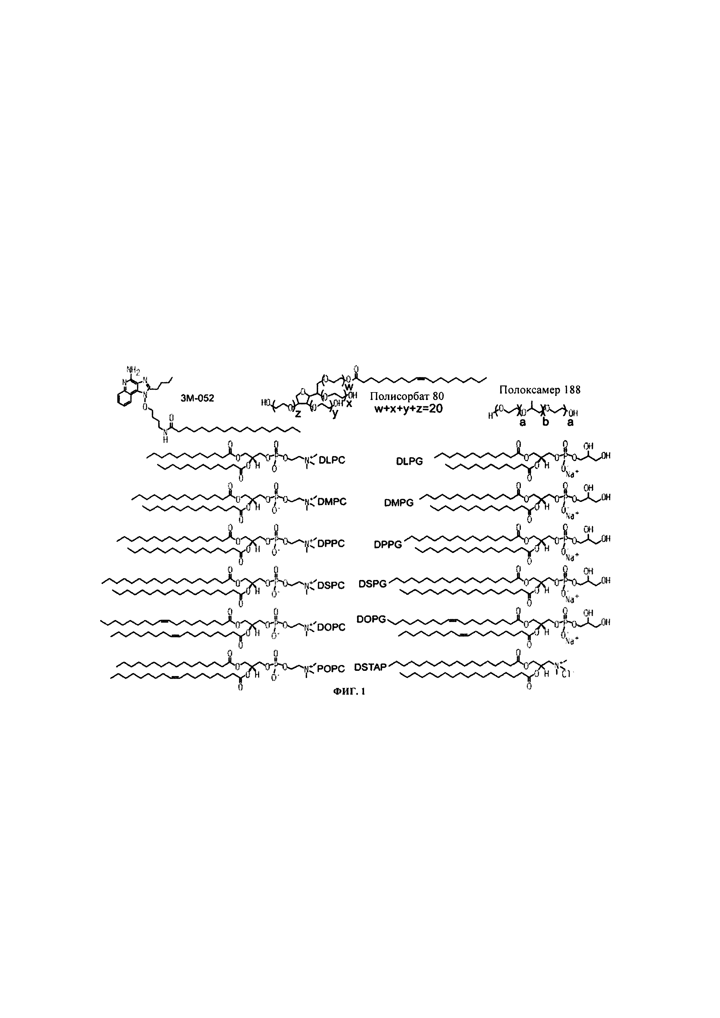 СОСТАВ, СОДЕРЖАЩИЙ АГОНИСТ TLR, И СПОСОБЫ ПРИМЕНЕНИЯ. Патент № RU 2761870  МПК C07K14/705 | Биржа патентов - Московский инновационный кластер