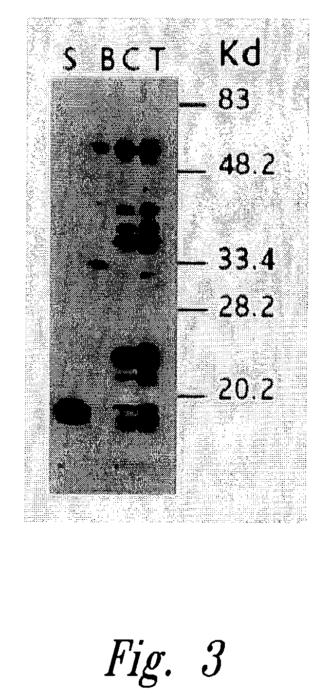 Devices containing DNA encoding neurotrophic agents and related  compositions and methods. Патент № US 20040138155 МПК A61K48/00 | Биржа  патентов - Московский инновационный кластер