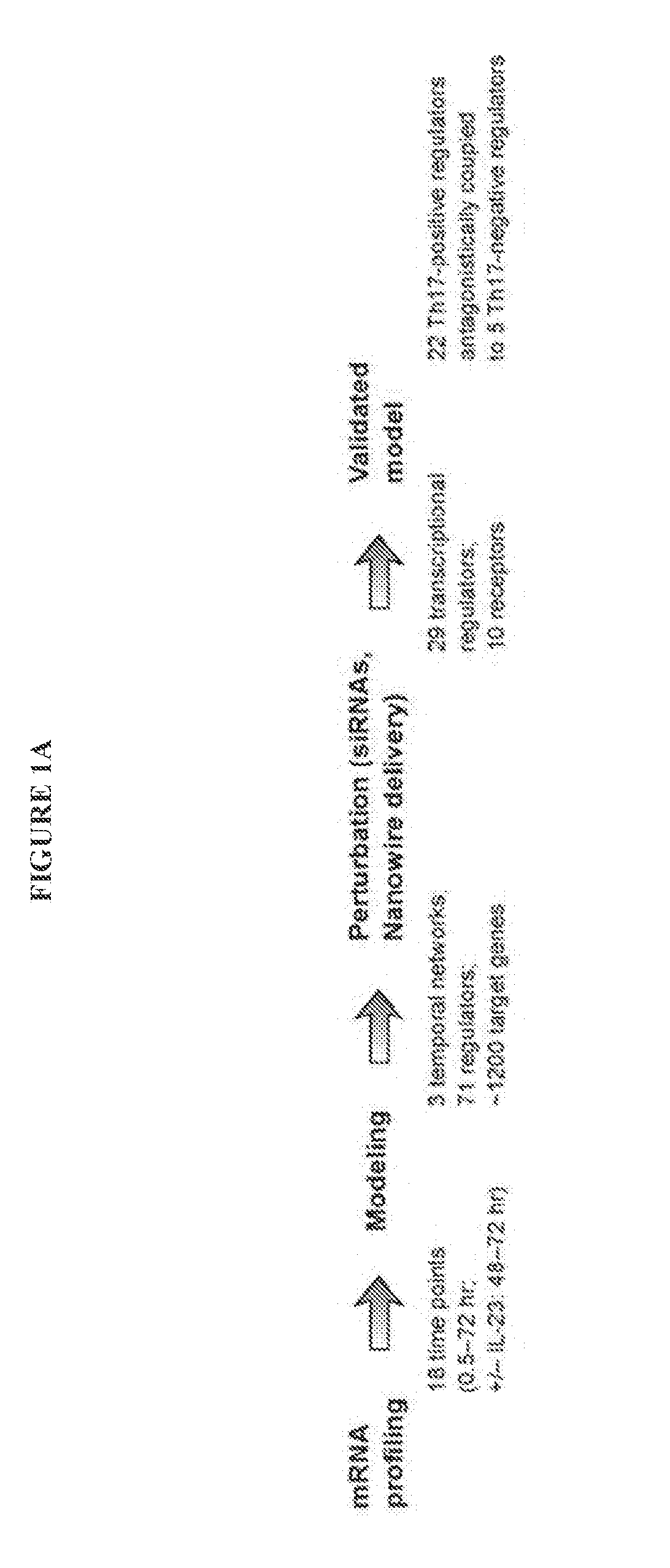 Mad Me More Softly 『DTMP Http』 邦楽 | endageism.com