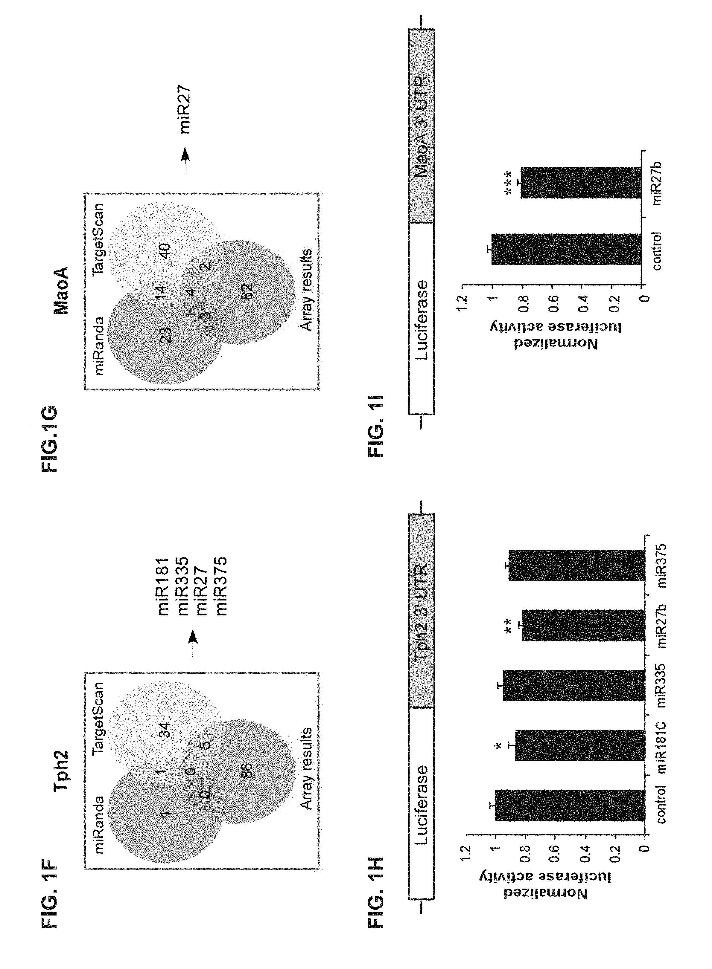 THE USE OF HALOPERIDOL (SERENASE (R)) IN CHLORPROTIXEN RESISTANT