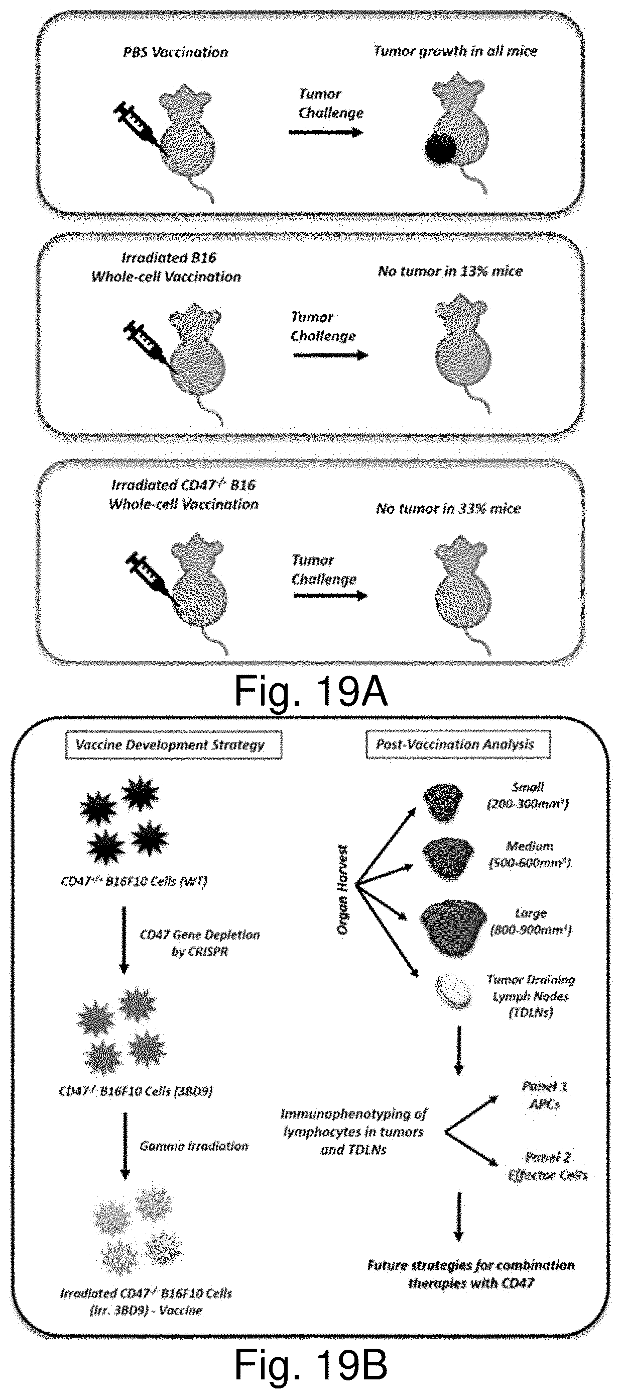 GENOME EDITED CANCER CELL VACCINES. Патент № US 20200113986 МПК A61K39/00 |  Биржа патентов - Московский инновационный кластер