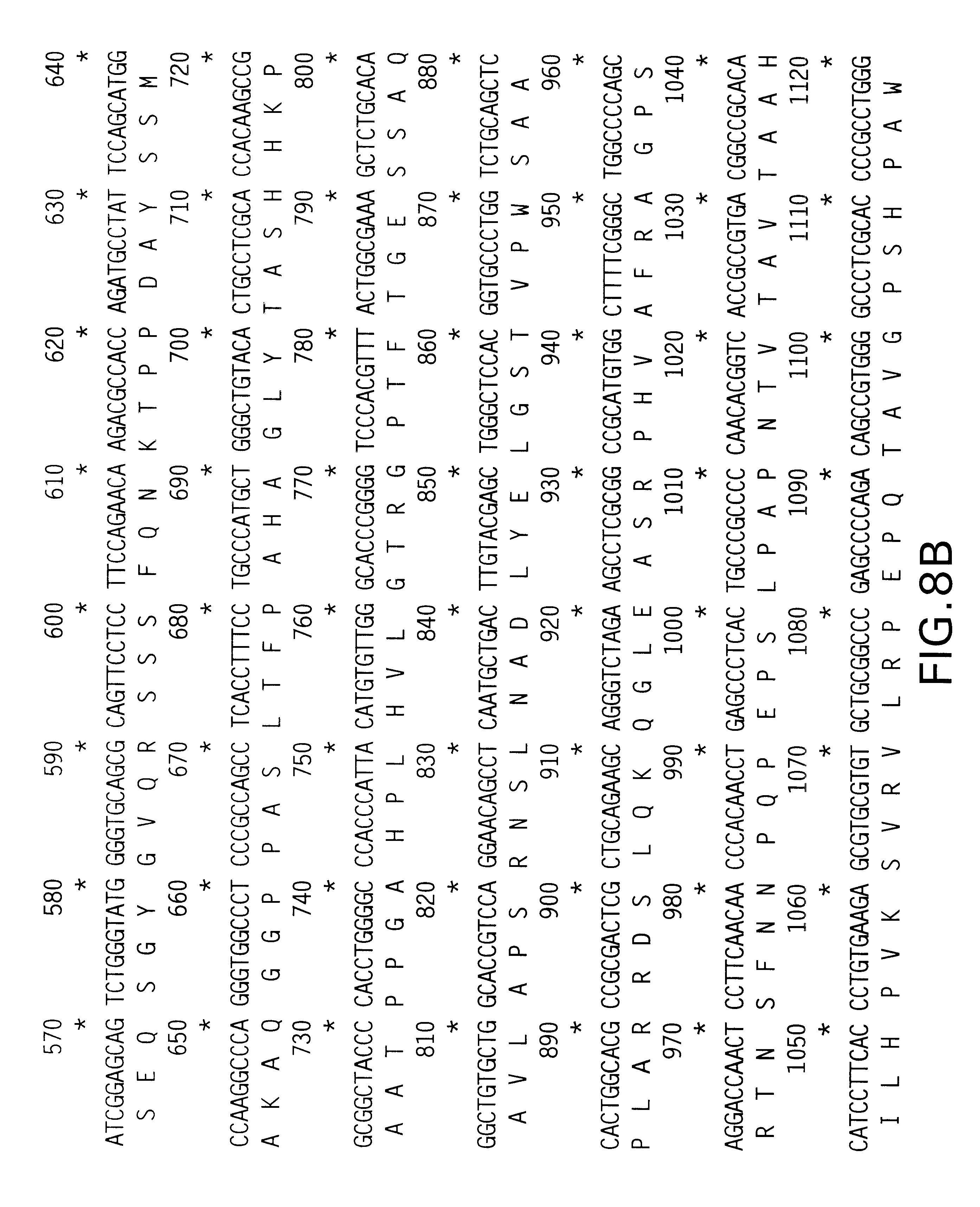 Nucleotide and protein sequences of lats genes and methods based thereon.  Патент № US 0006559285 МПК A61K38/00 | Биржа патентов - Московский  инновационный кластер