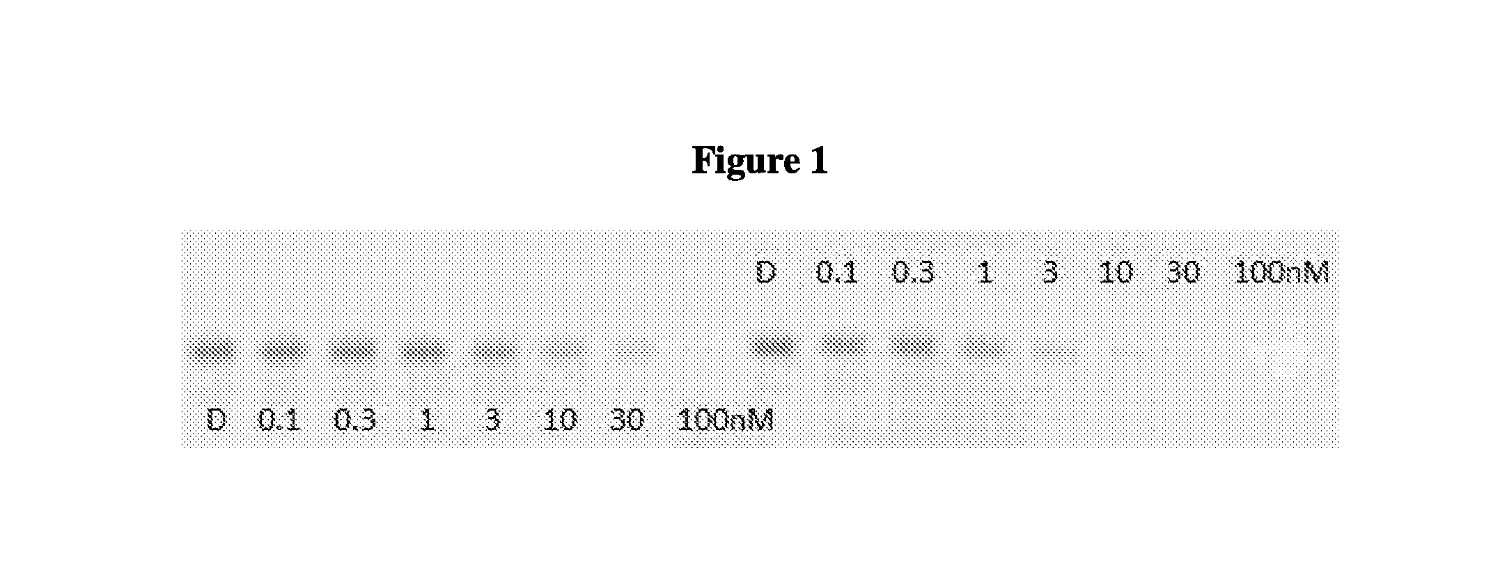 INDOLE DERIVATIVES AS ESTROGEN RECEPTOR DEGRADERS. Патент № WO 2018053354  МПК C07D403/12 | Биржа патентов - Московский инновационный кластер